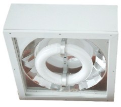 80-250W Explosion-proof Induction light fixture