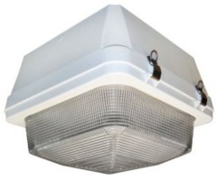 Induction Gas station canopy light