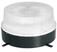 Induction canopy light fixture