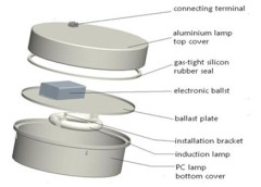 Round induction canopy light fixture
