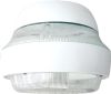 40W IP65 Parking Induction Canopy Light