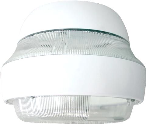 Parking Induction Canopy Light