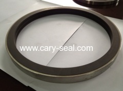 Tungsten Carbide seal Ring products