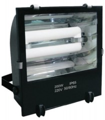 40-250W Induction Wall Washer Light