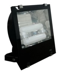 40-250W Induction Wall Washer Light