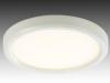 LED Ceiling light ML8011A21R