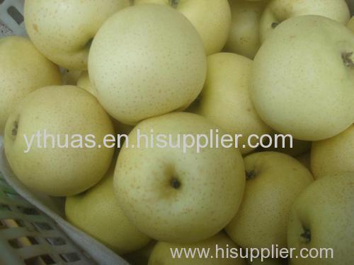 Fresh Yellow Golden Pear