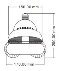 40-60W Self ballasted Induction Lamp