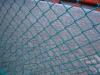 Plastic coated chain link fence
