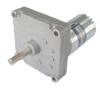 DC GEAR MOTOR (RS545-PAG)