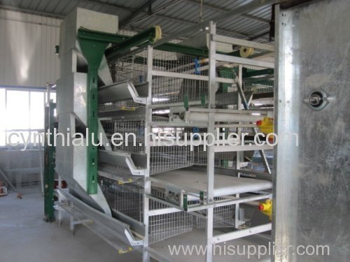 poultry chicken H cage