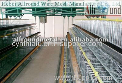 Broiler chicken rearing cage