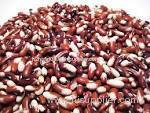beans,rice,walnuts,almond seeds,cocoa powder,cocoa beans,coffee beans,black eye beans,green mum beans