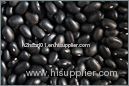 beans,rice,walnuts,almond seeds,cocoa powder,cocoa beans,coffee beans,black eye beans,green mum beans
