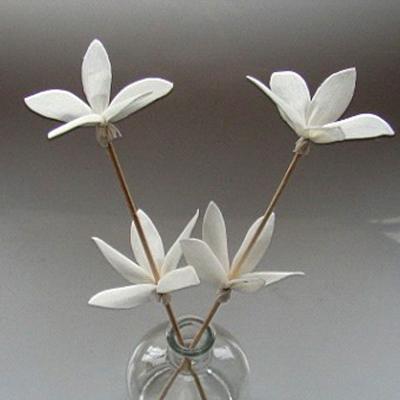 Sola flower for reed diffuser