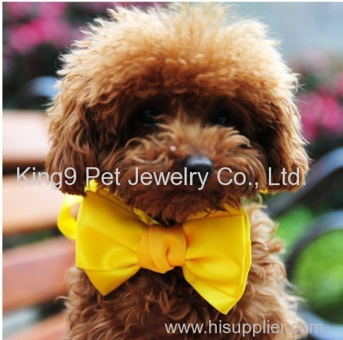 Pet Jewelry pet accessories