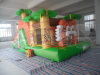 Tiger Inflatable Combo Slide