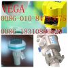 VEGA Level Meter swing61.xxfehxprx