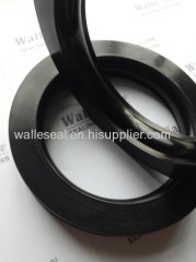 China FS Casing & Tubing Seal