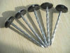 Galvanized Steel Roofing Nails & Clout Nails