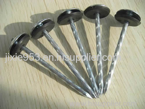 Galvanized Steel Roofing Nails &amp; Clout Nails