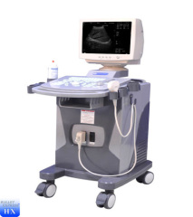 best vet ultrasound scanner