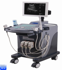 best vet ultrasound scanner