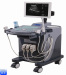 high quality vet ultrasound scanner