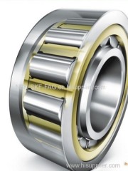 hot sale nsk- skf -fag cylindrical roller bearing