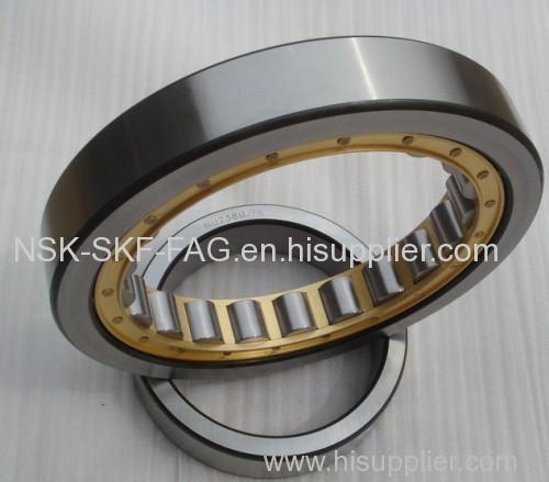 hot sale nsk- skf -fag cylindrical roller bearing