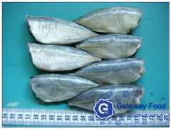 Frozen Horse Mackerel HGT (Trachurus japonicas)