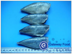 Frozen Horse Mackerel HGT (Trachurus japonicas)