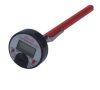 Digital Thermometer