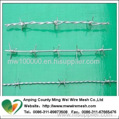 Airport Prison Barbed Wire Fence