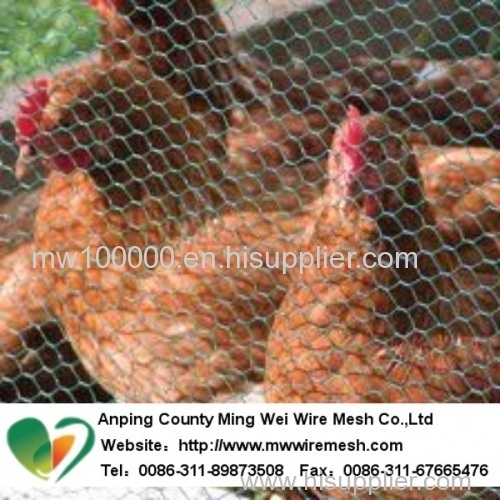 poultry hexagonal wire mesh for sale