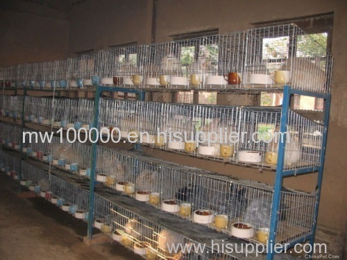 used rabbit cages for sale