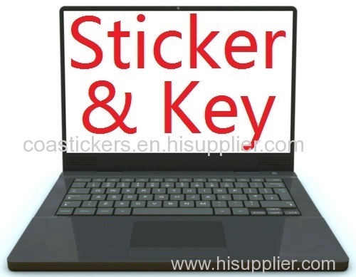 COA stickers w7 w8 product key