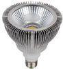 Par38 Cob 60 15w Led Spot Lighting Ce Rohs With Integrated Led Chip