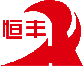 Shandong Hengfeng Group