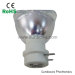 MSD platinum 7r lamp bulb