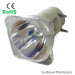 MSD platinum 7r lamp bulb