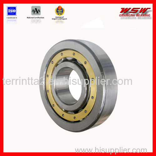 F-554185.01 Cylindrical Roller Bearing