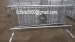 Fully Galvanized Pedestiran walkway barrier steel crowd control barrier