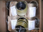 REXROTH High pressure oil seal