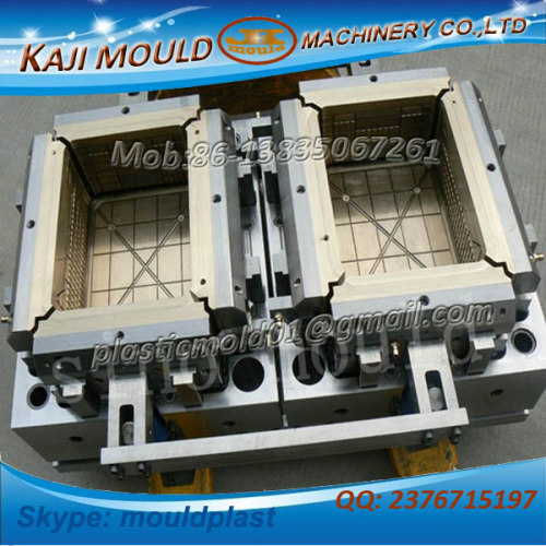 Maunufacturing 2 cavity crate mould in Taizhou