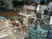 WPC profile extrusion machine