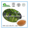 Top Quality Cyclocarya paliurus