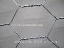 Stainless steel Galvanized Chicken Wire Mesh For Garden / Poultry farms