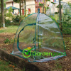 Square PVC Umbrella Greenhouse(serre)