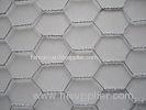 Hot Dipped Galvanized Chicken Wire Mesh , 50mm 2'' Bird Cage Wire Mesh